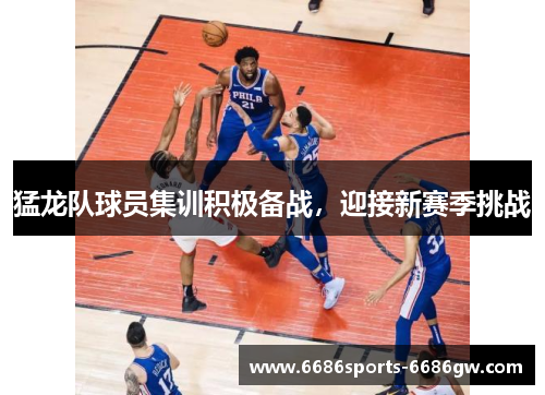猛龙队球员集训积极备战，迎接新赛季挑战
